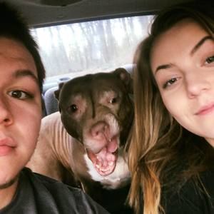 Meet your Posher, Damion